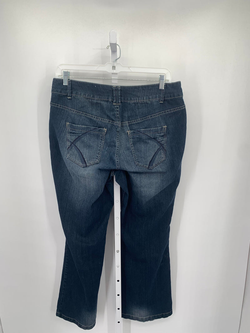 Lane Bryant Size 16 W Womens Jeans