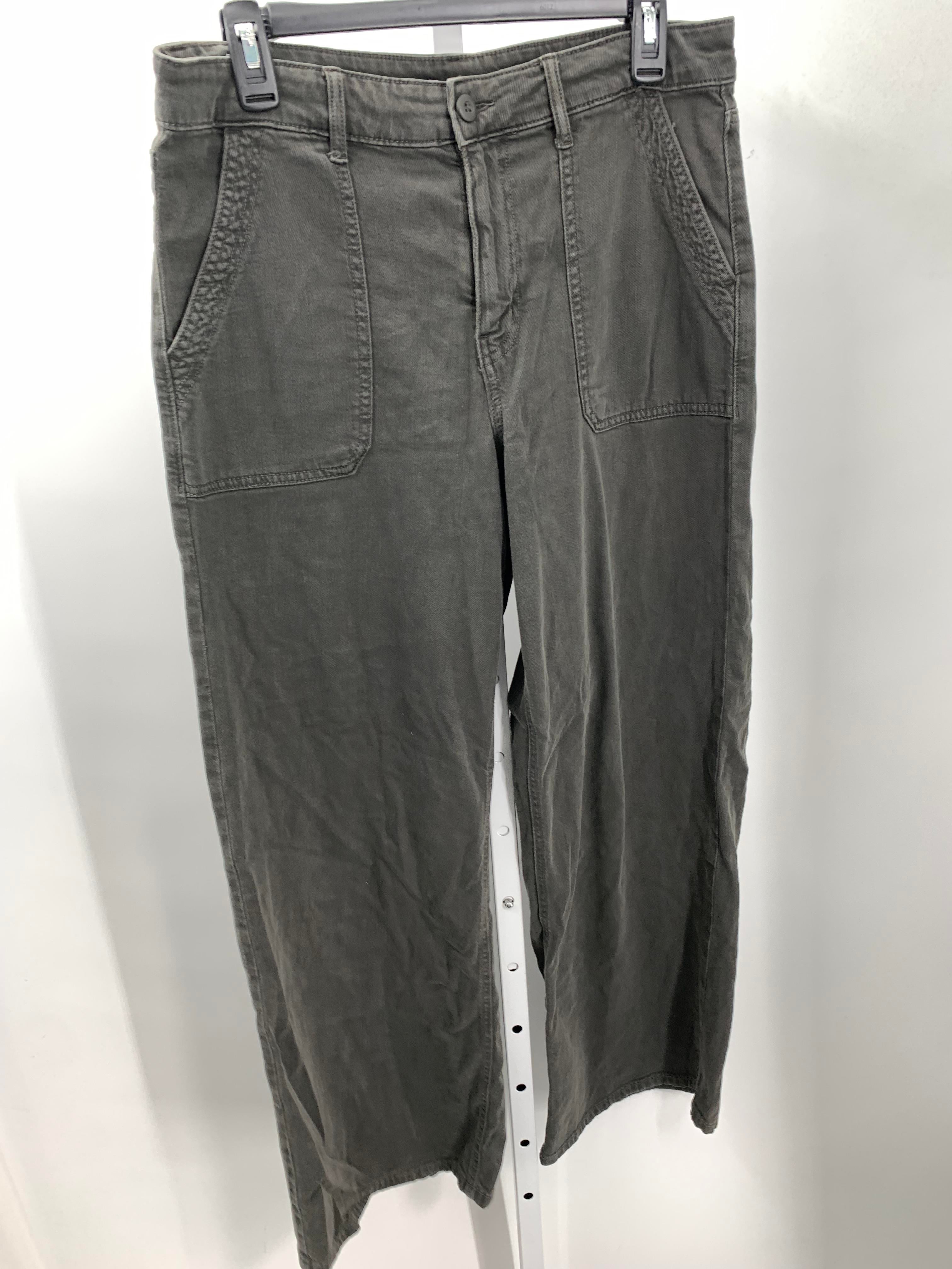 American Eagle Size 10 Juniors Pants