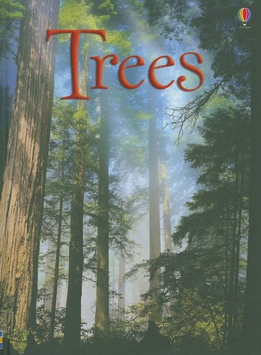 Trees (Usborne Beginners) Gillespie, Lisa Jane [Used - Very Good] [Hardcover] -