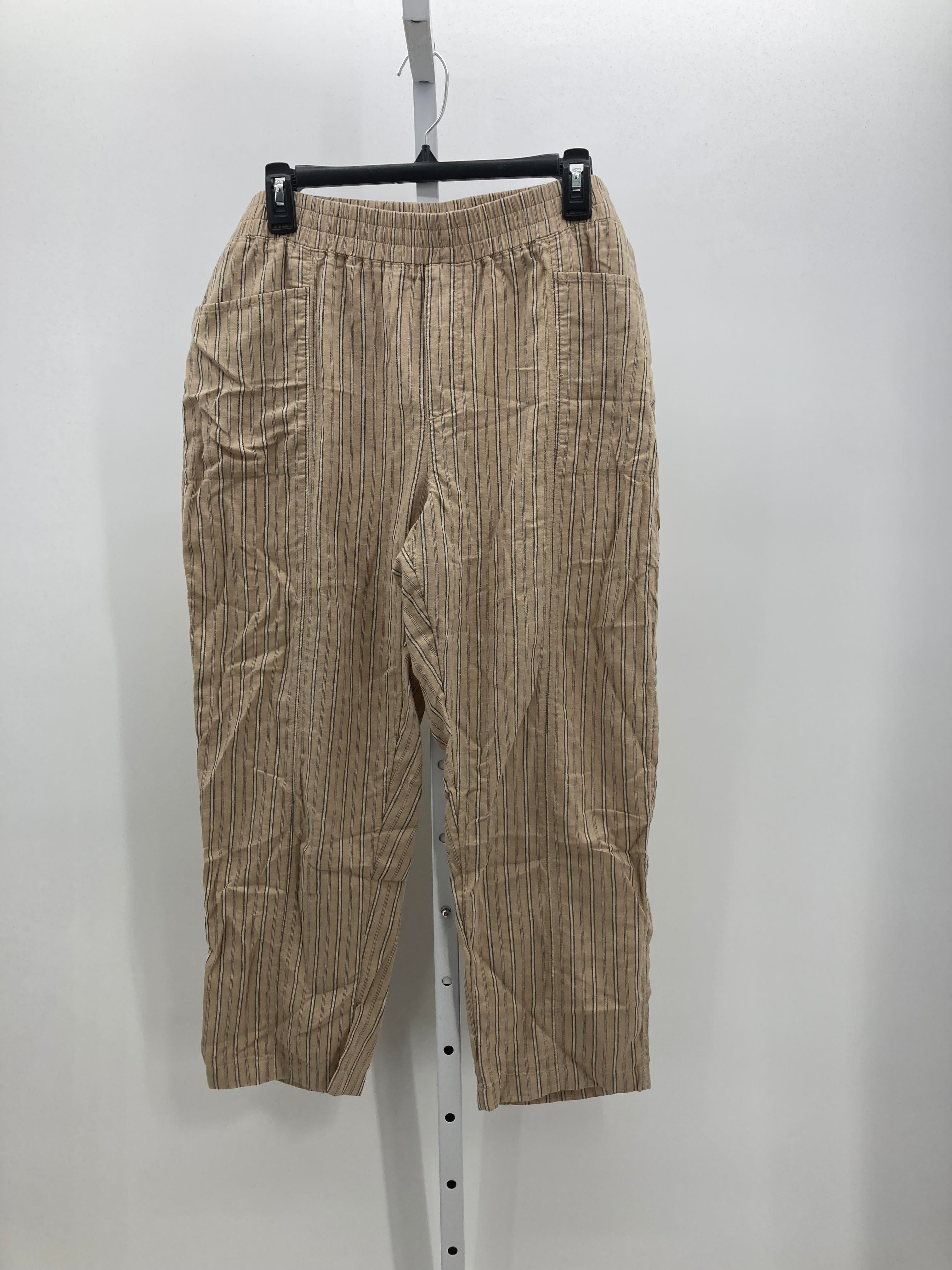 Caslon Size Large Misses Pants