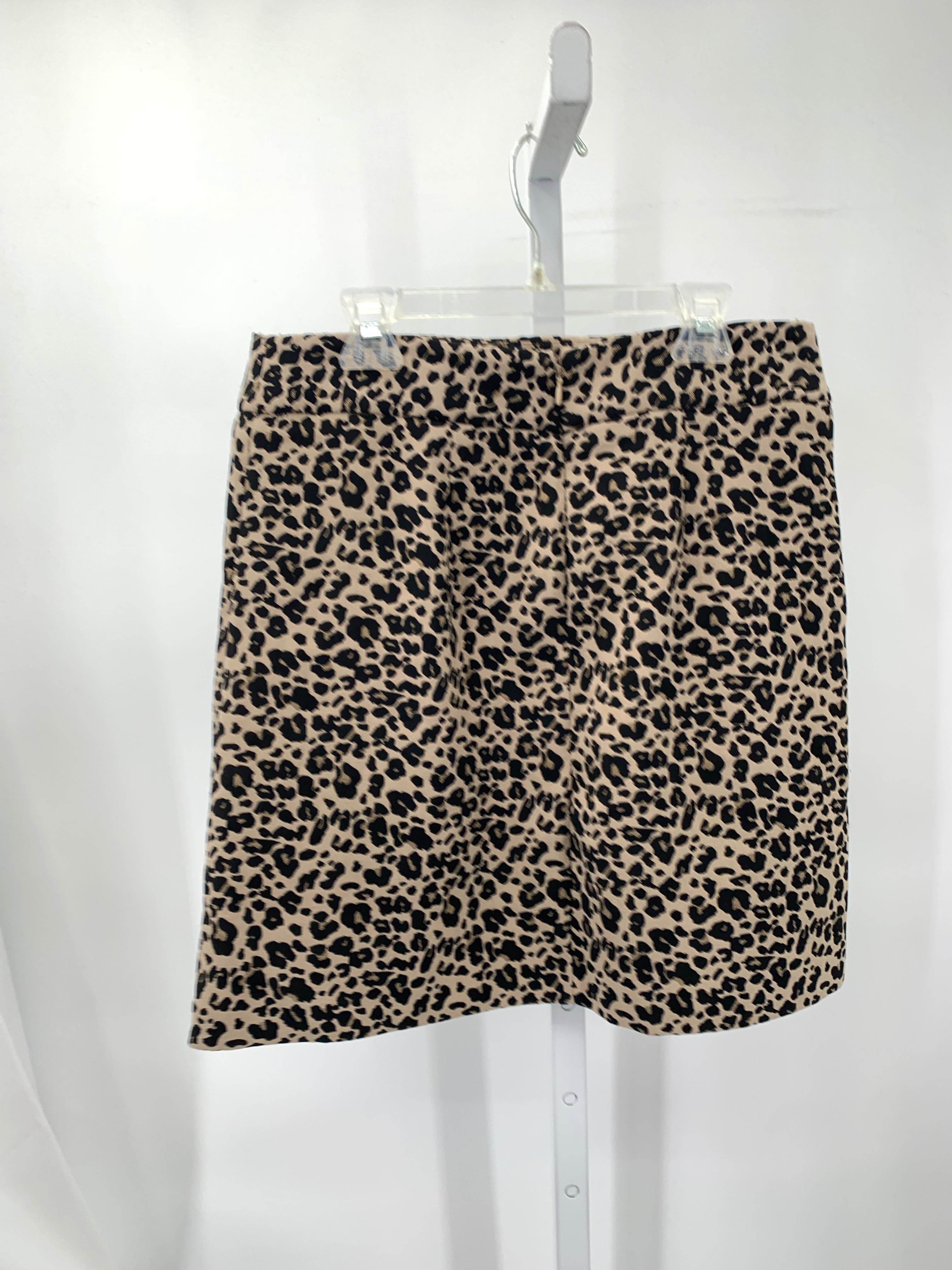 Loft Size 4 Petite Petite Skirt