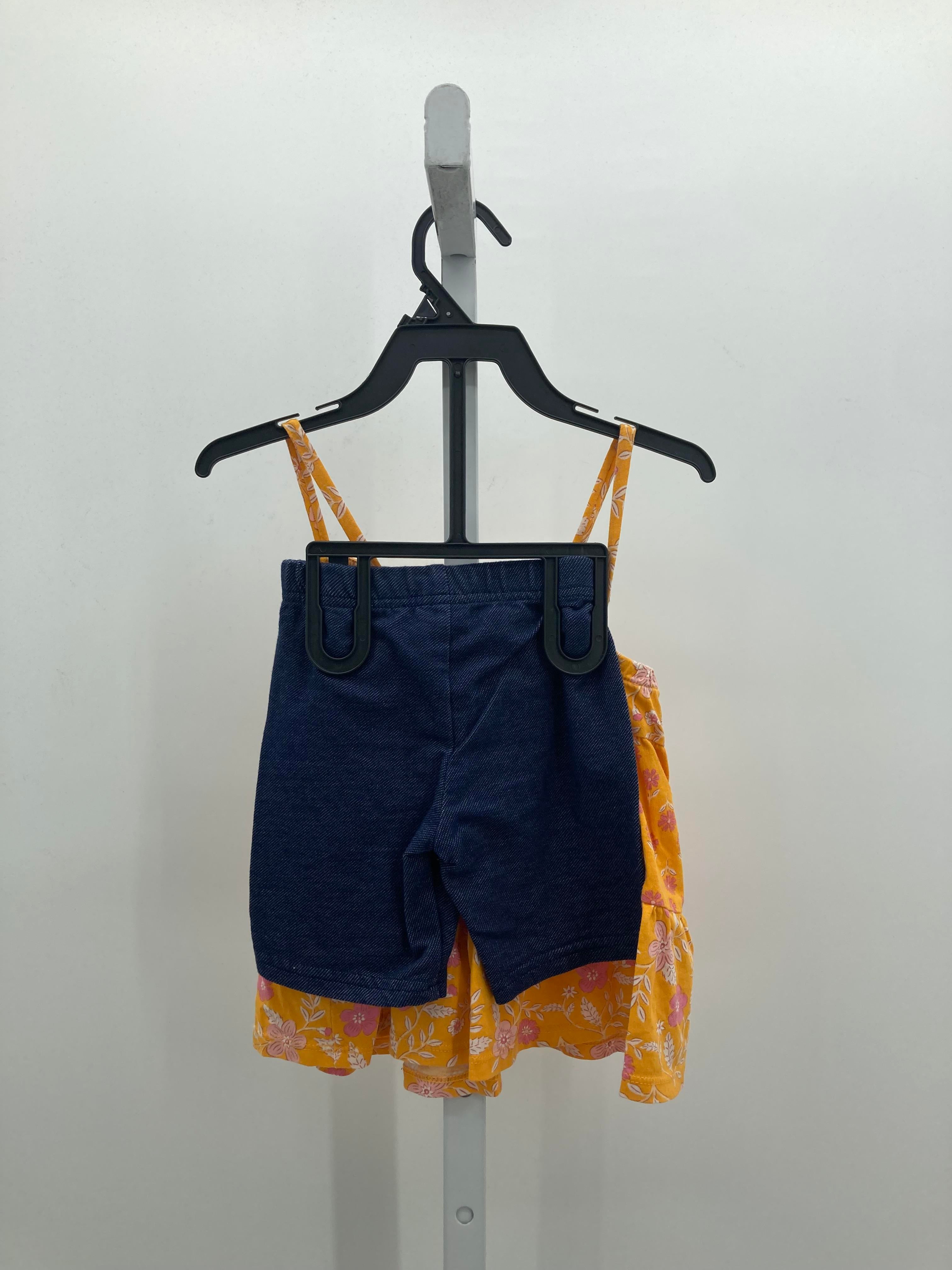 Carters Size 4T Girls 2 Pieces