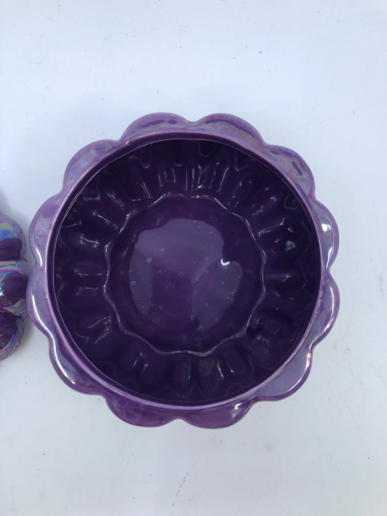 PURPLE IRIDESCENT PUMPKIN.