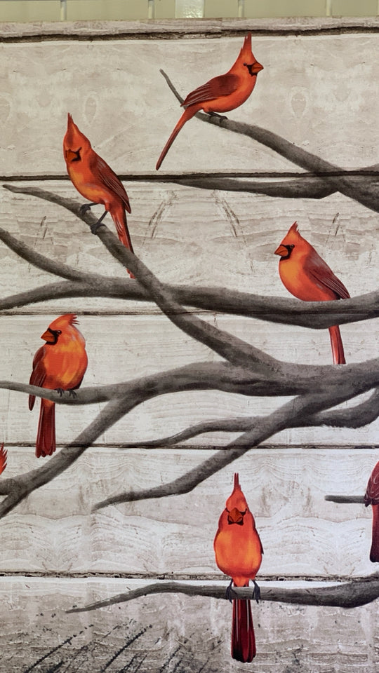 CARDINALS ON BRANCHES CANVAS WALL ART.
