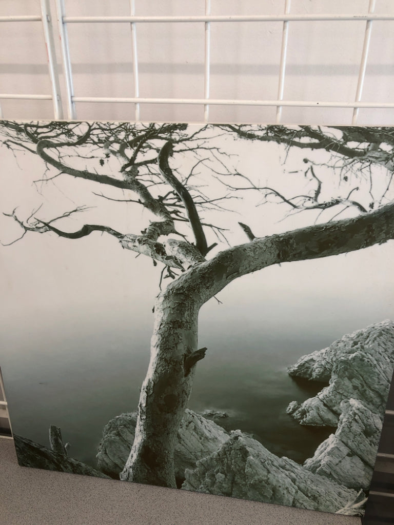 BIRCH TREE PRINT WALL HANGING.