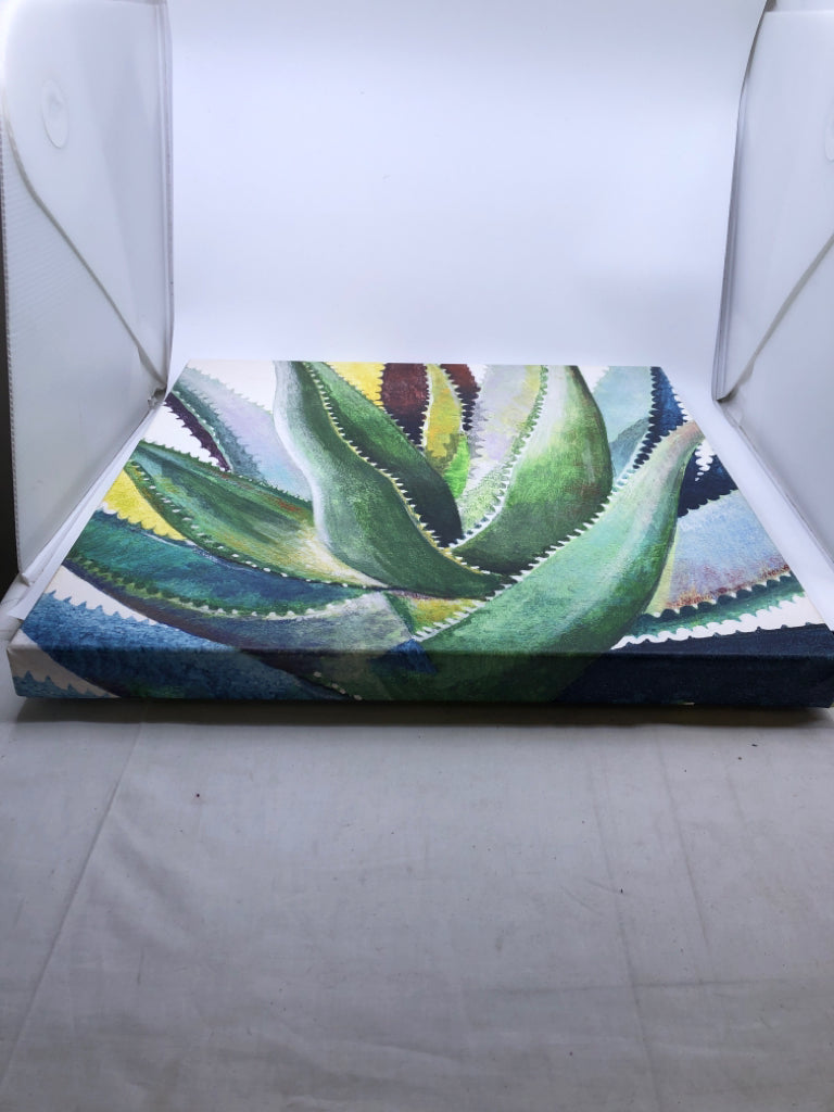 ALOE PRINT CANVAS WALL HANGING.
