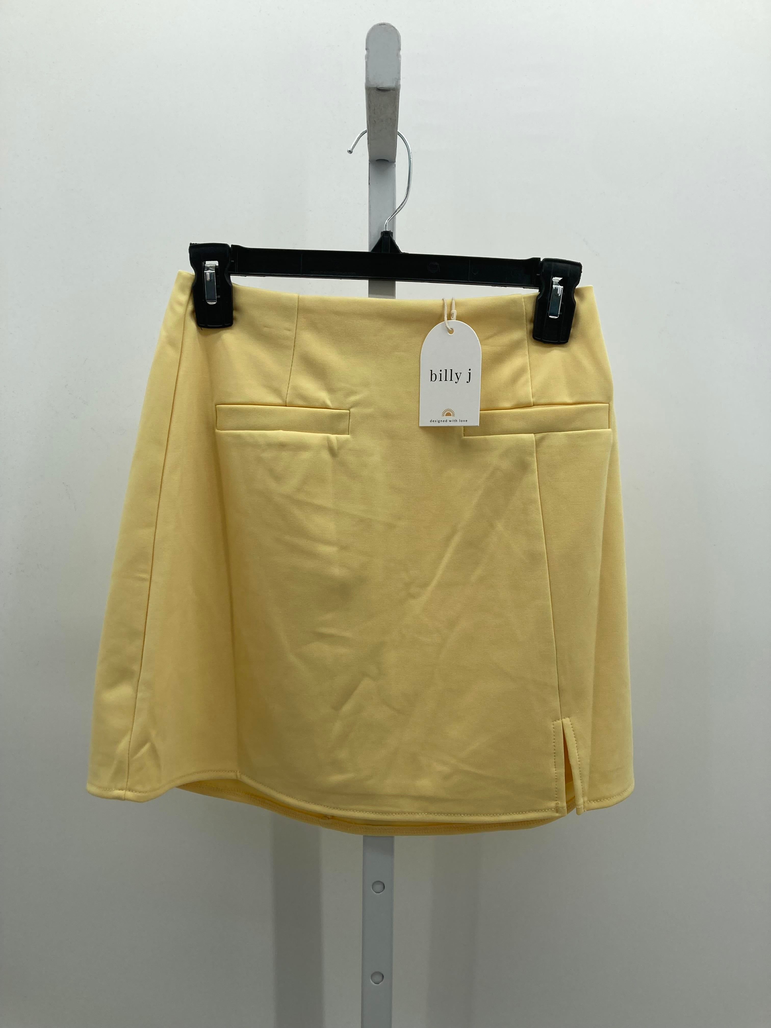 Size 8 Juniors Skirt
