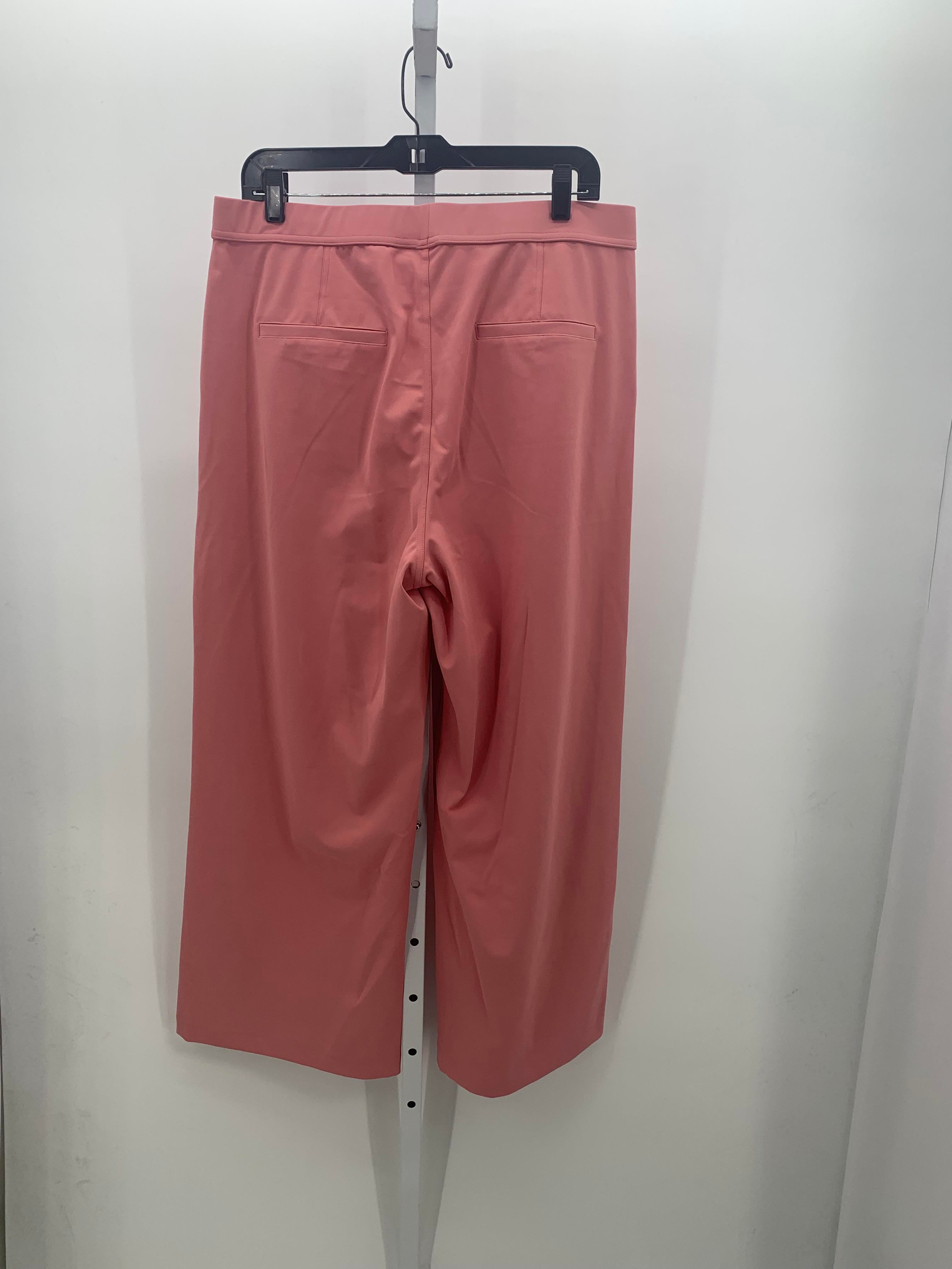 Size X Large Petite Petite Pants