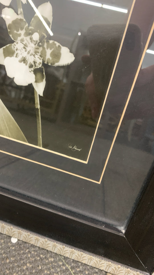 B&W BELLARA ORCHID IN BROWN/GOLD FRAME.
