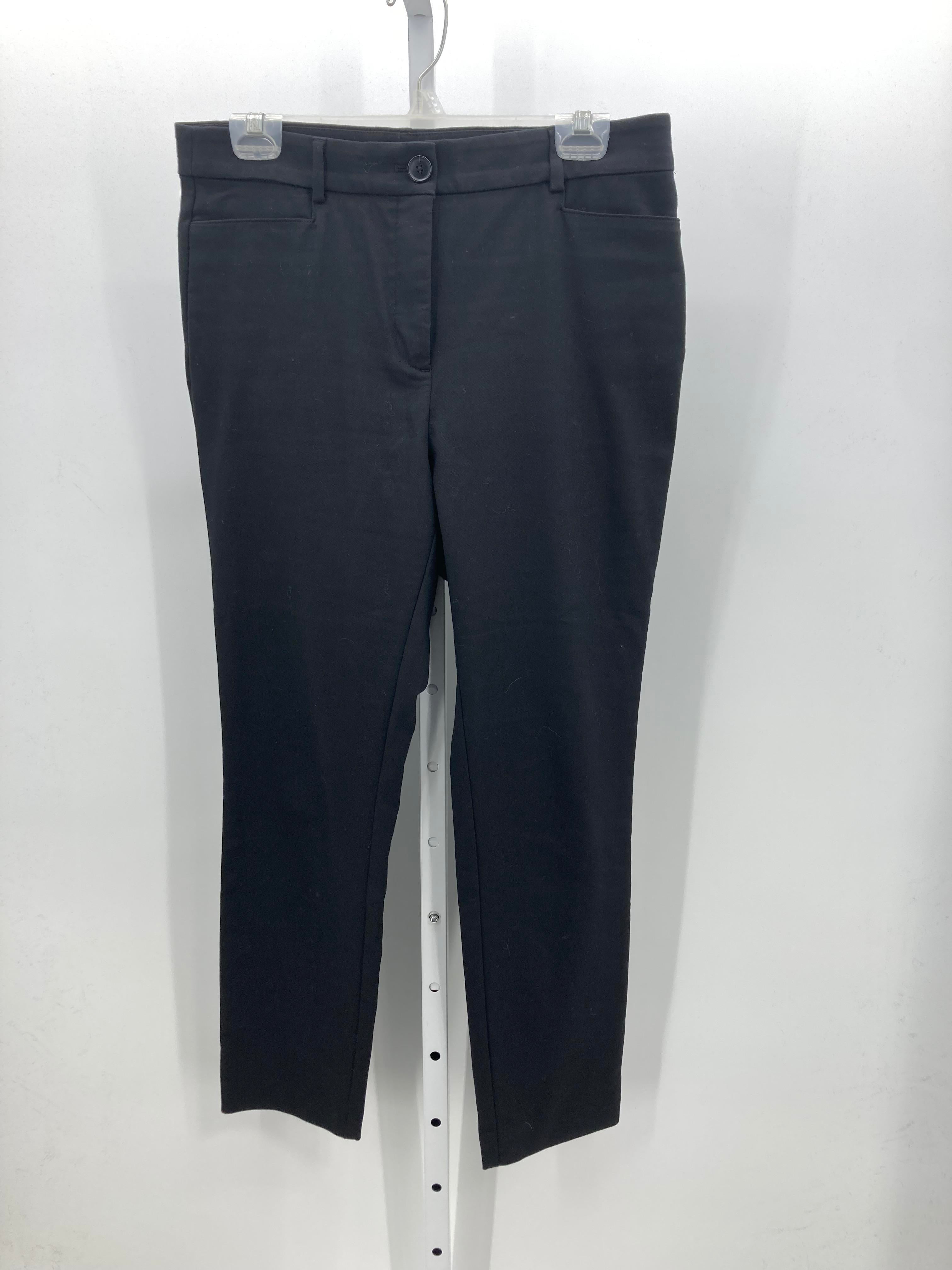 Loft Size 10 Misses Pants