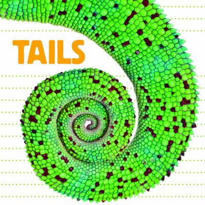 Tails (Whose Is It?) - Flowerpot Press