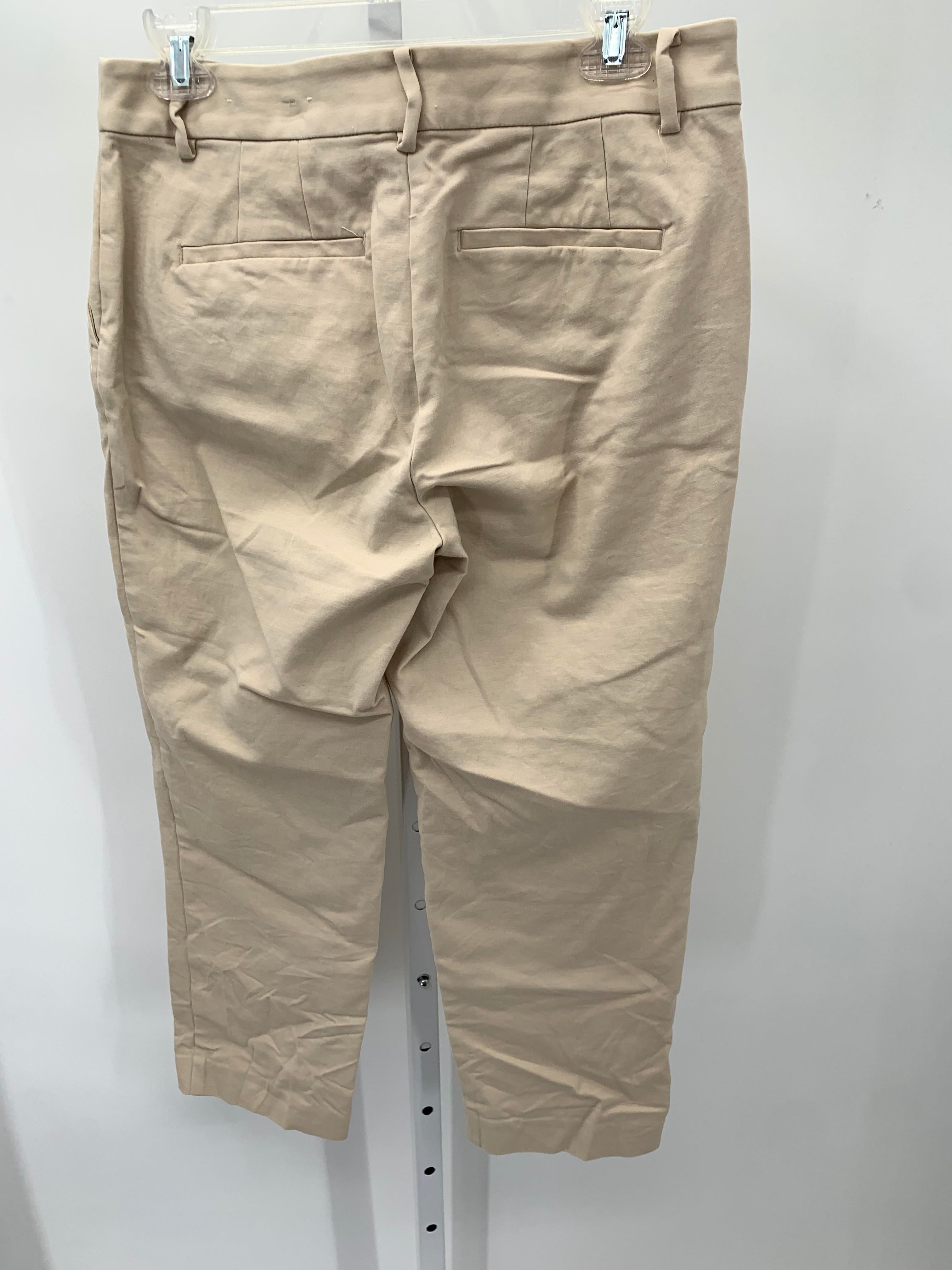 Loft Size 6 Misses Pants