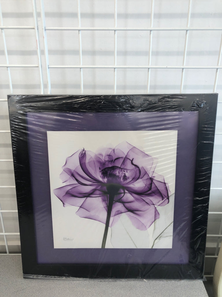 PURPLE ROSE XRAY PRINT IN BLACK FRAME.