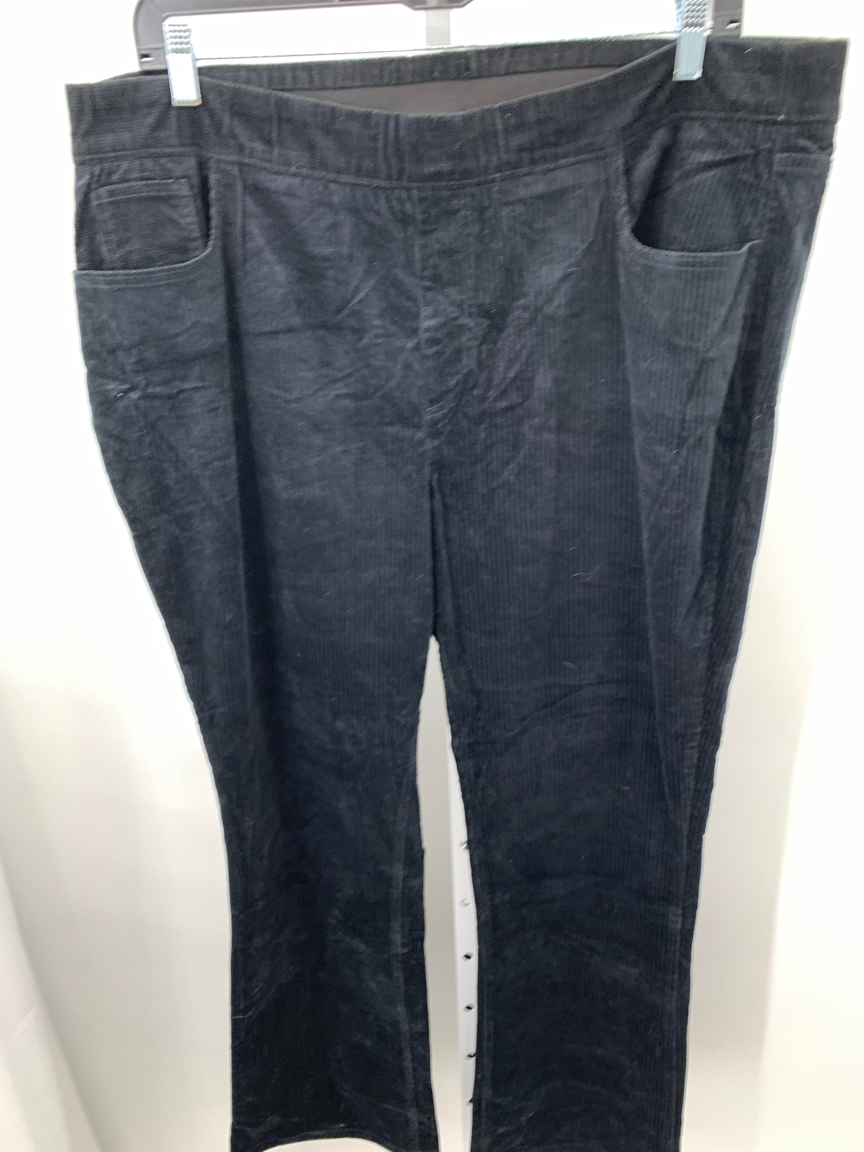 d & co. Size 2X Womens Pants
