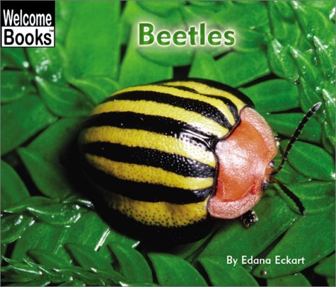 Beetles by Edana Eckart (Paperback) - Edana Eckart
