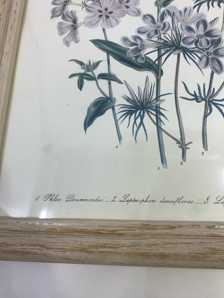 FLORAL PRINT IN DISTRESSED WHITE WOOD FRAME.