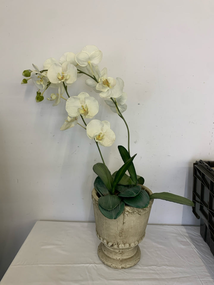 FAUX ORCHID IN DISTRESSED PLANTER.