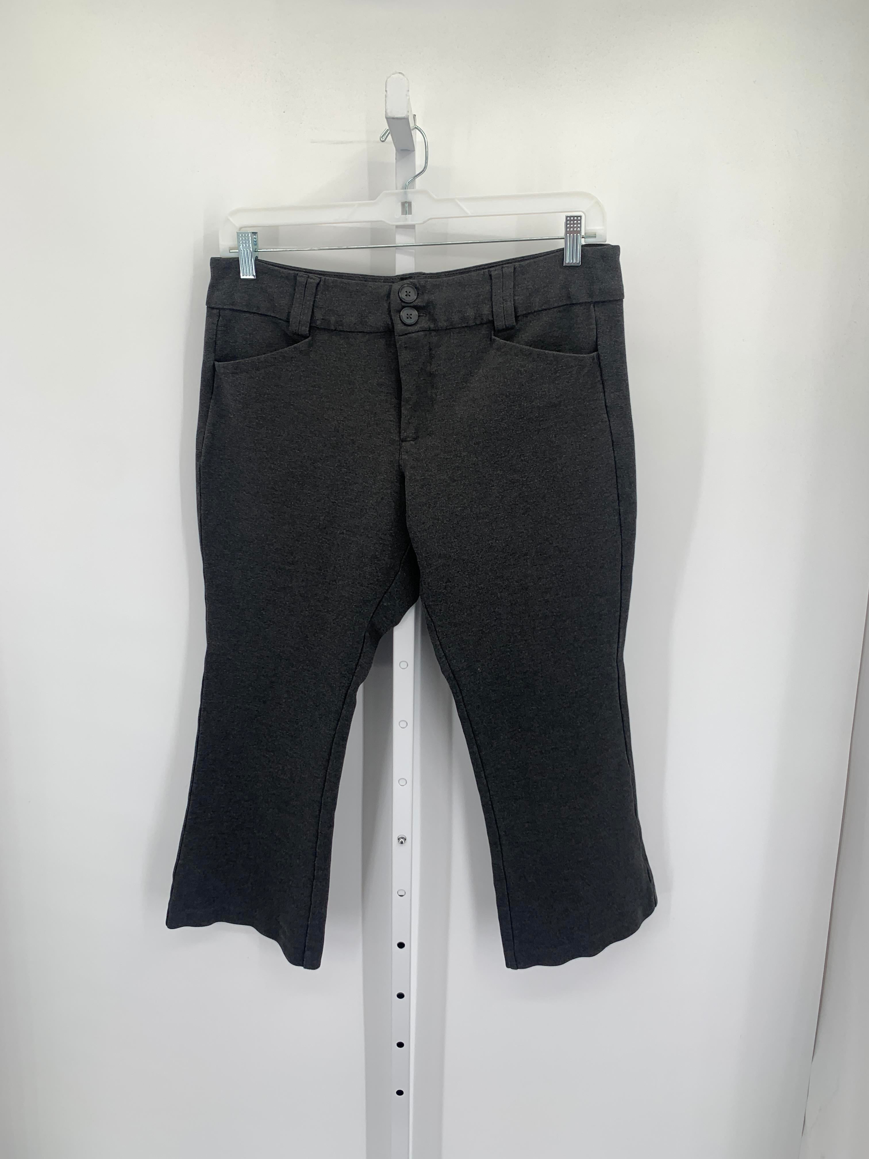 Studio Size 16 W Womens Pants