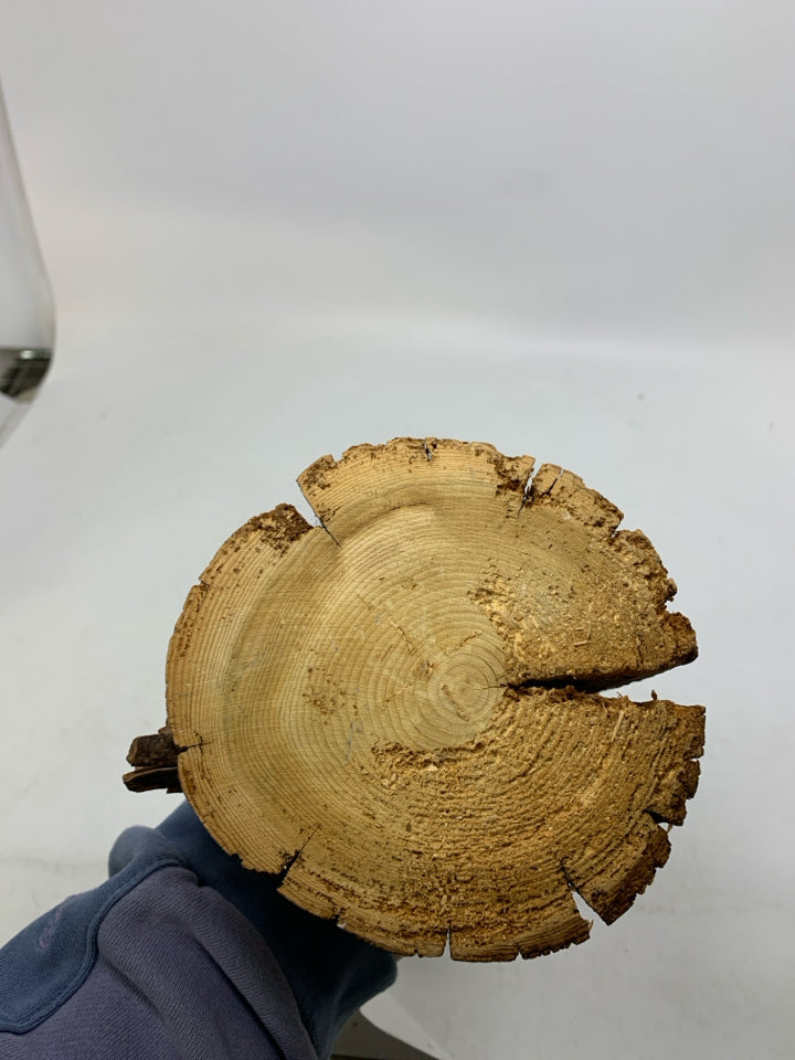WOOD STUMP SINGLE STEM DRY VASE.
