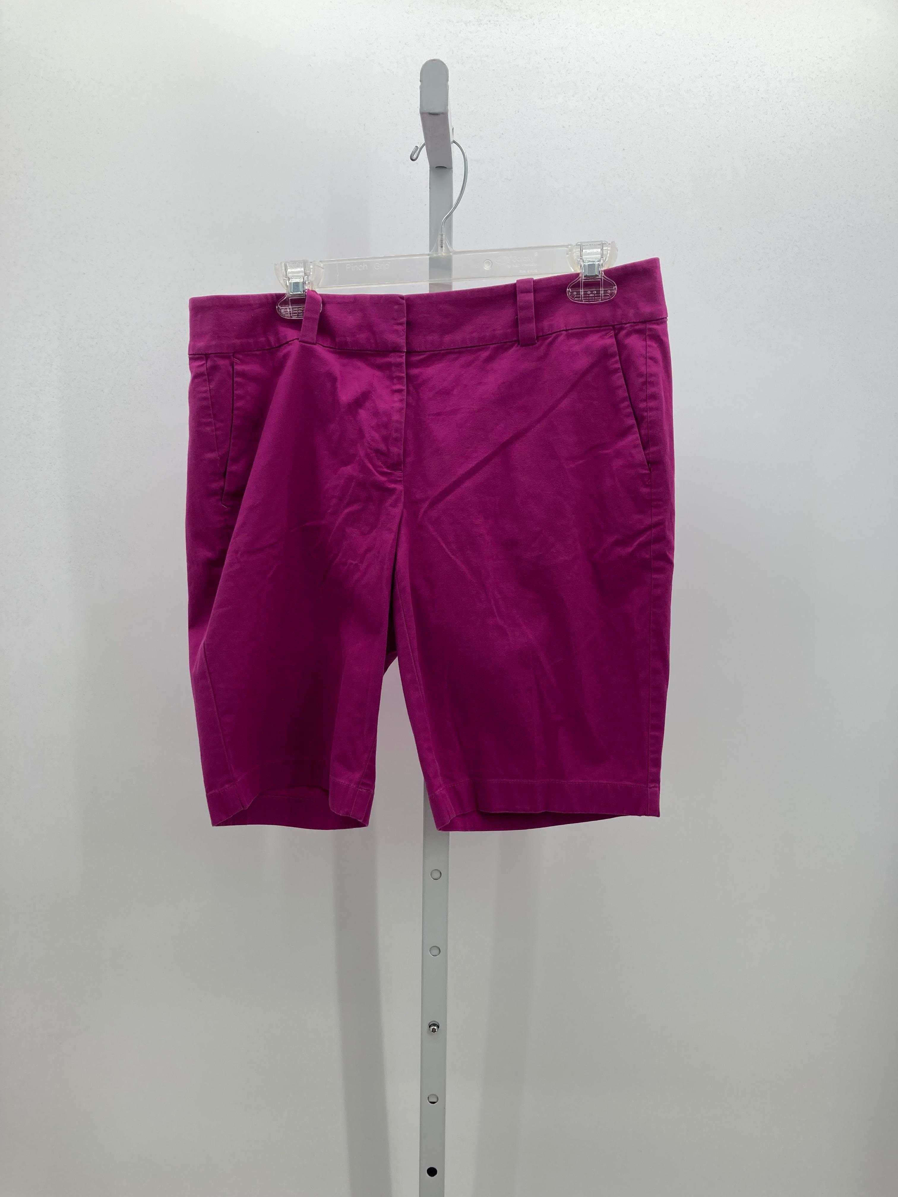 Ann Taylor Size 8 Misses Shorts