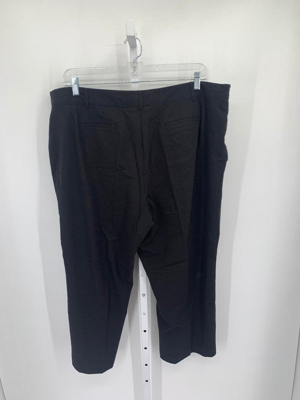 Avenue Size 22WP Womens Pants