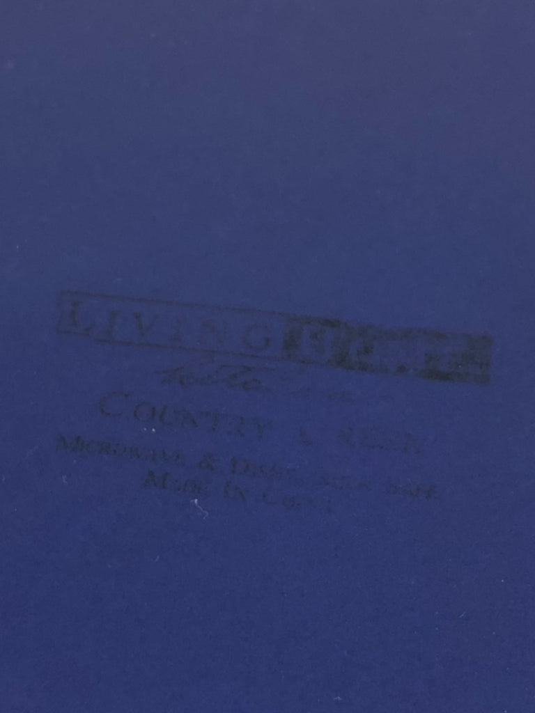 BLUE & WHITE SERVING PLATE LIVING HOME.