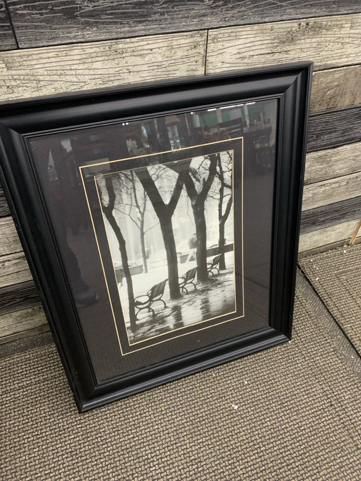 RAINY DAY W/BENCHES AND TREES IN BLACK FRAME.