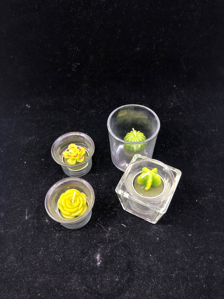 4 SUCCULENT CANDLES.