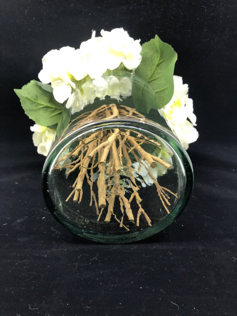 CYLINDER GLASS VASE W/WHITE HYDRANBGEA FLOWERS.