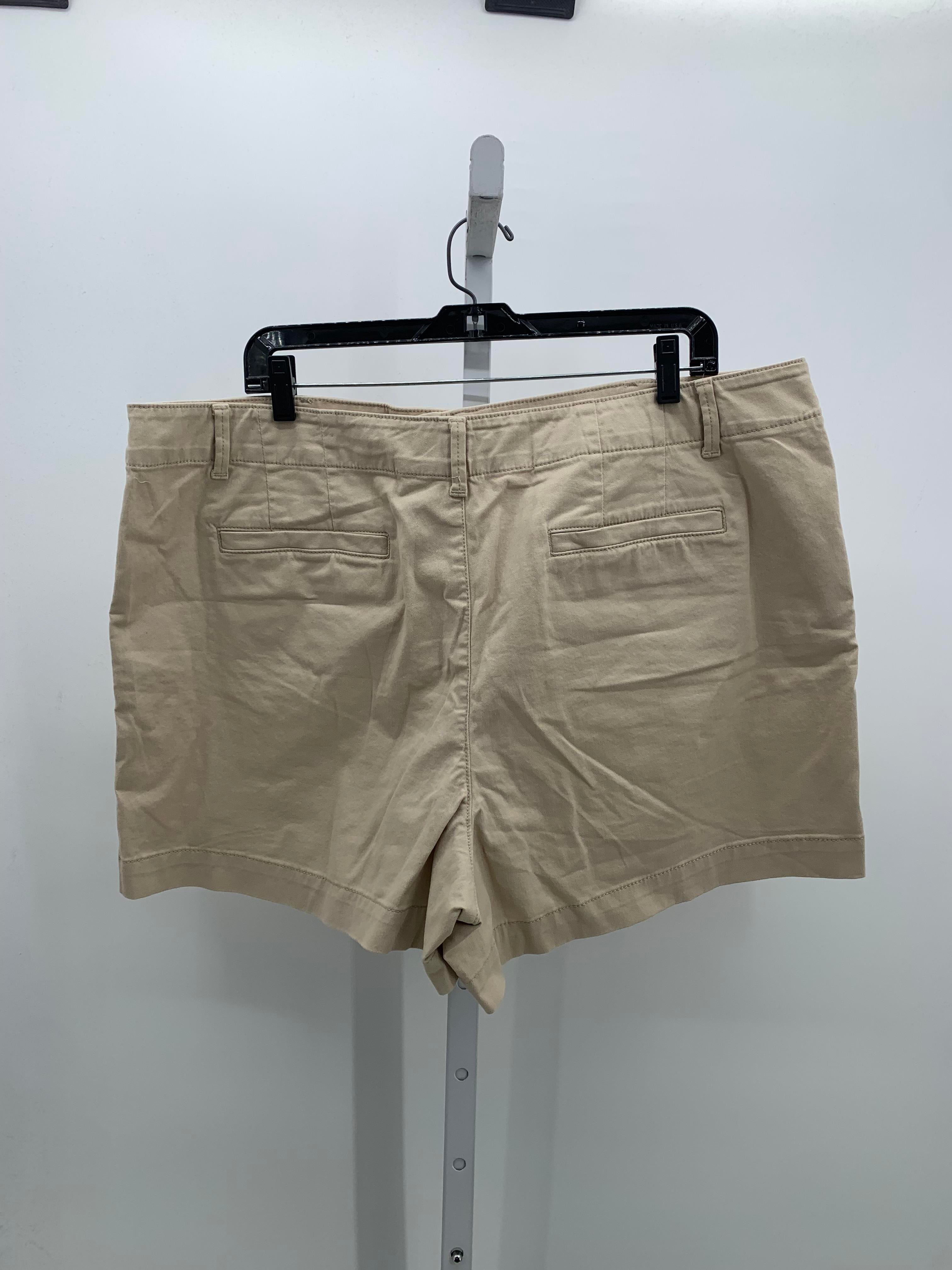 Loft Size 18 Misses Shorts