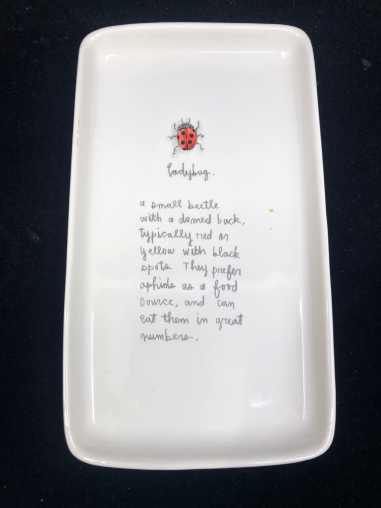 RAE DUNN LADY BUG TRAY.