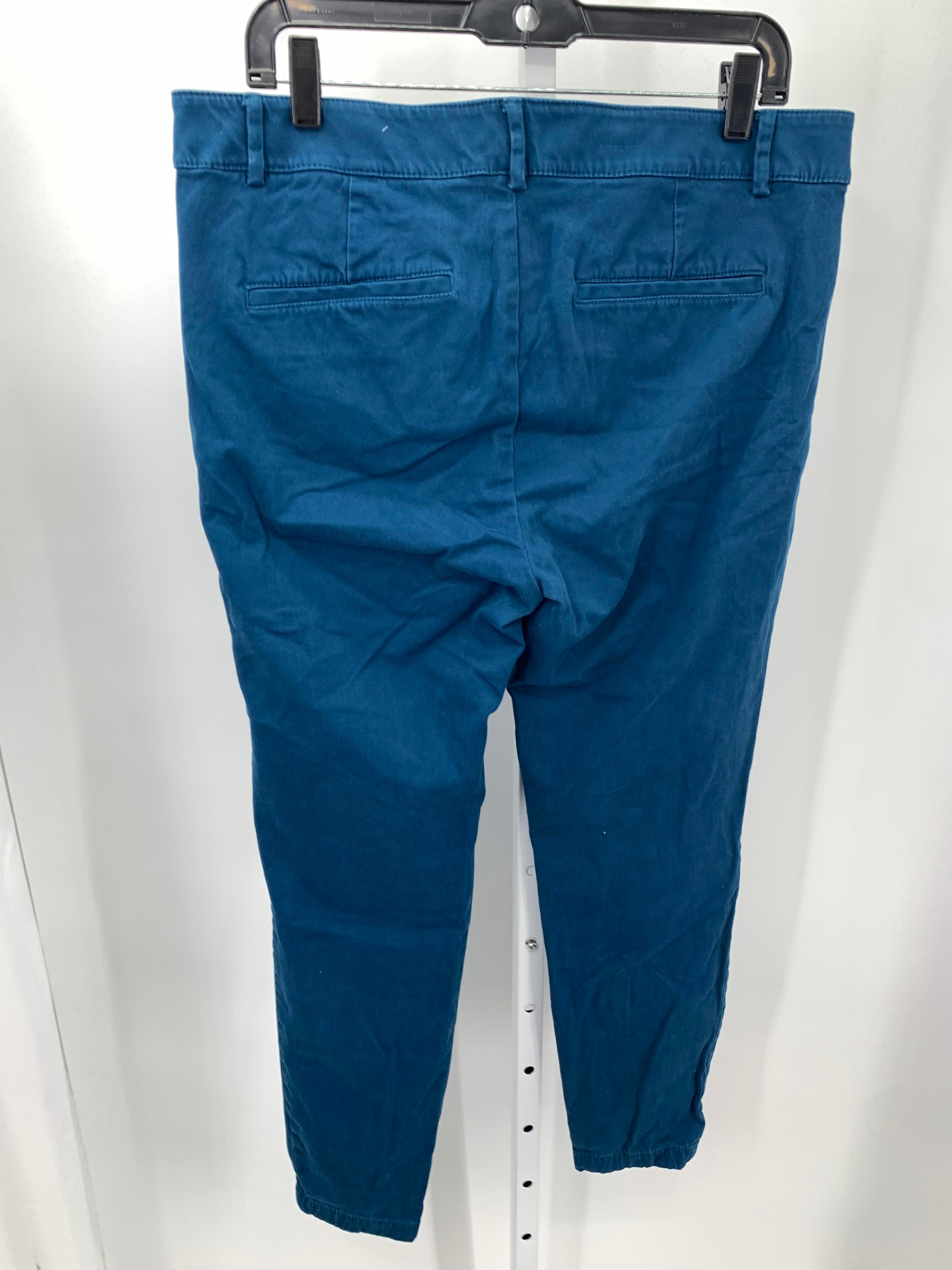 Loft Size 10 Misses Pants