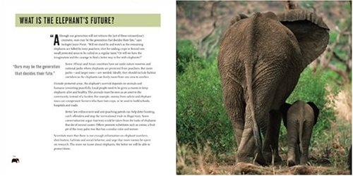 Elephant Rescue : Changing the Future for Endangered Wildlife by Jody Morgan - J