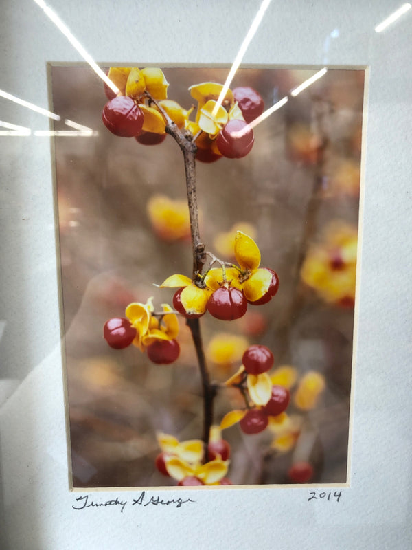 BERRIES ON TREE WALL HANGING IN DARK FRAME.