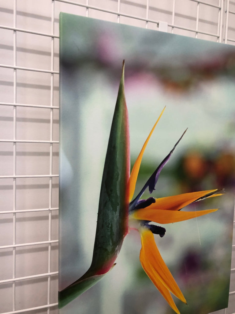 BIRD OF PARADISE PRINT ON CANVAS.