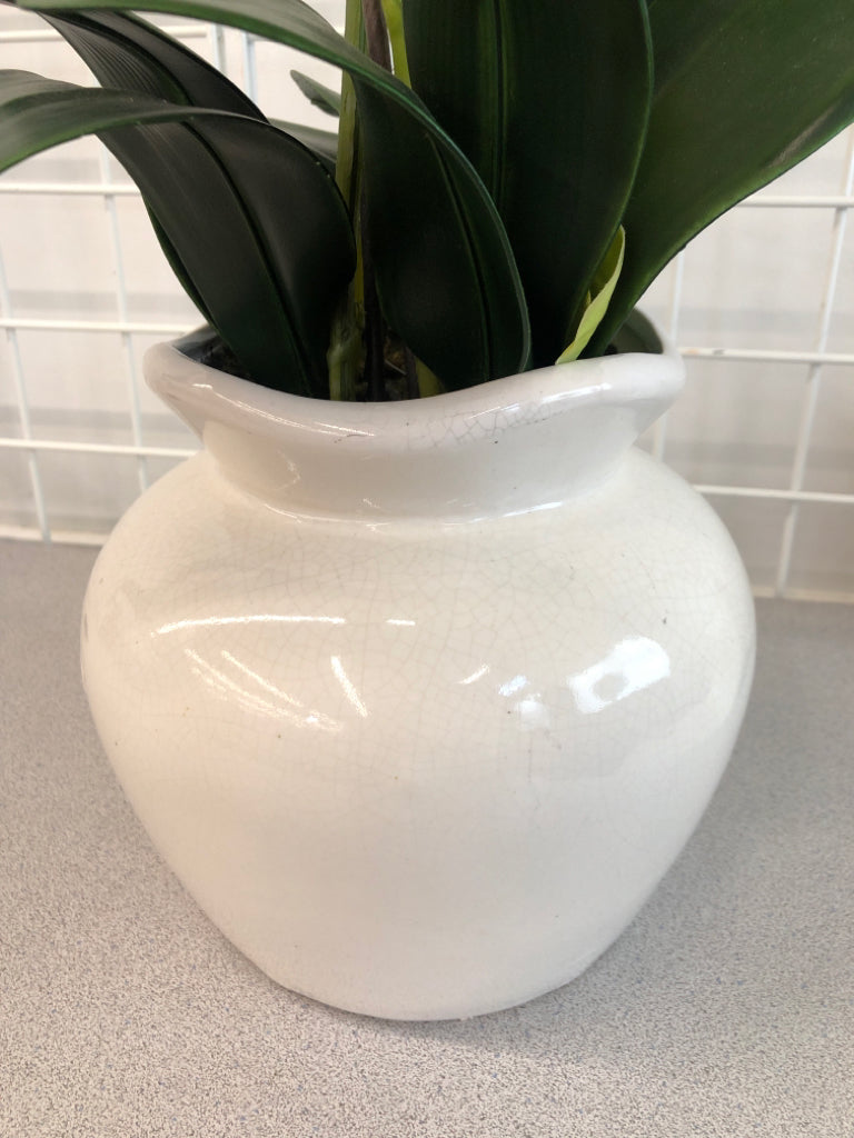 ORCHIDS IN WHITE CRACKLE POT.