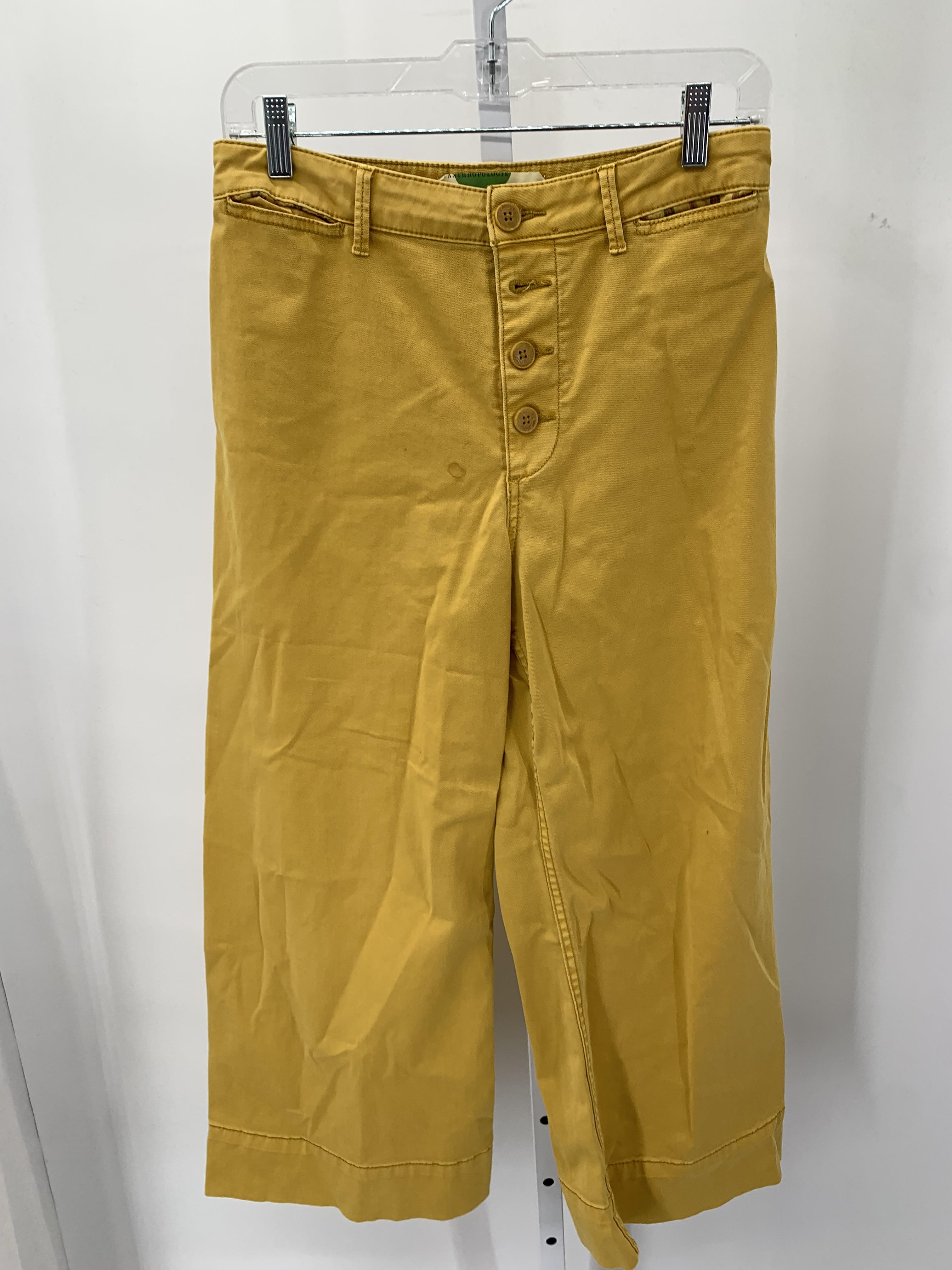 Anthropologie Size 4 Misses Pants