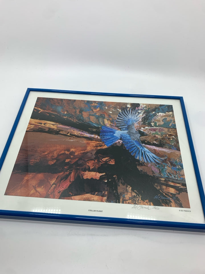 BLUE JAY -STELLER FLIGHT SIGNED PRINT.