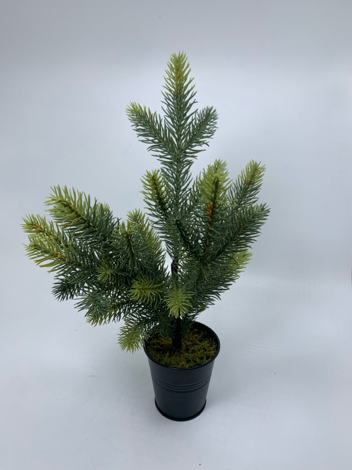 MINI FAUX PINE TREE IN BLACK PLANTER.