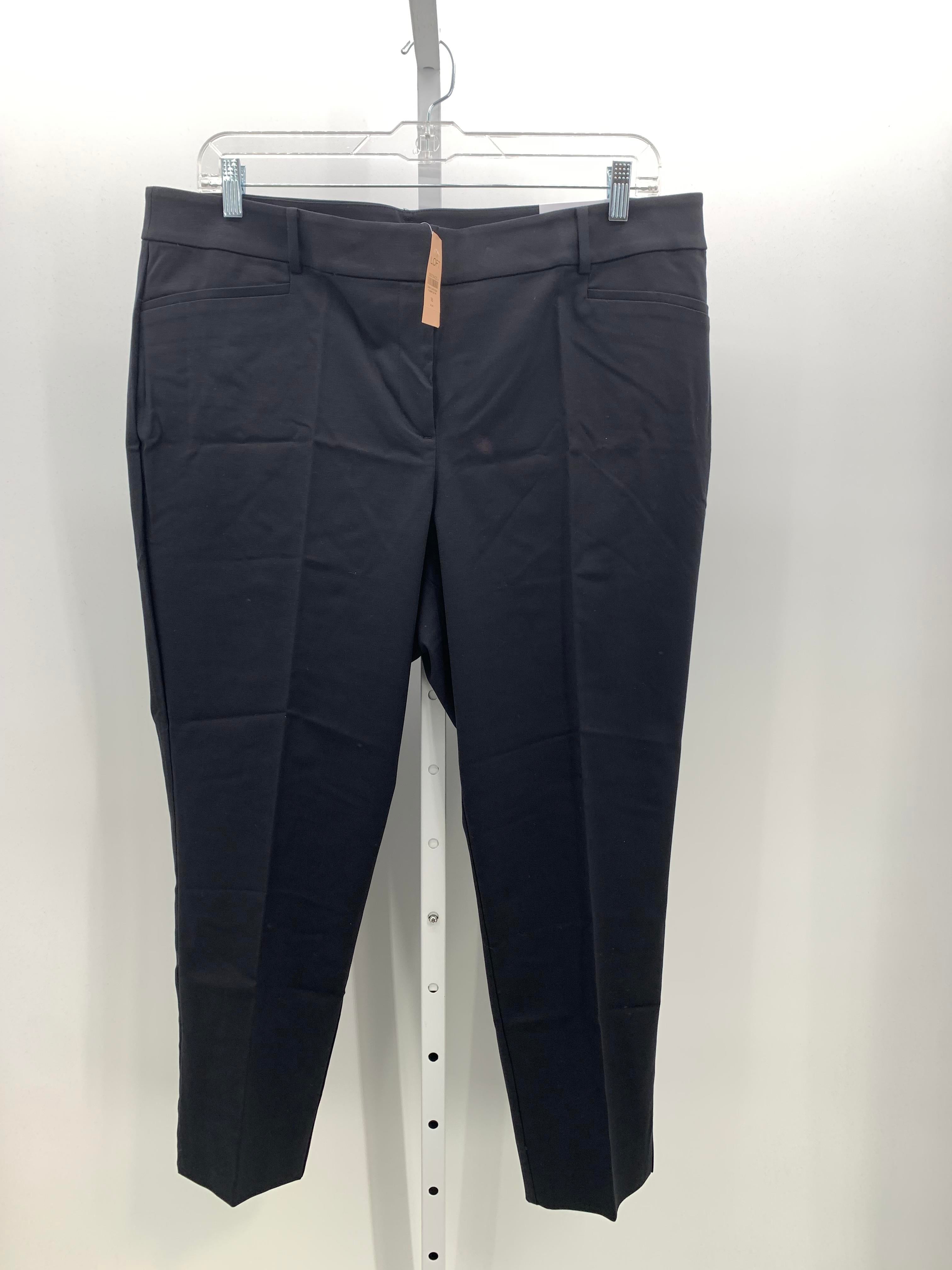 Loft Size 18 W Womens Pants