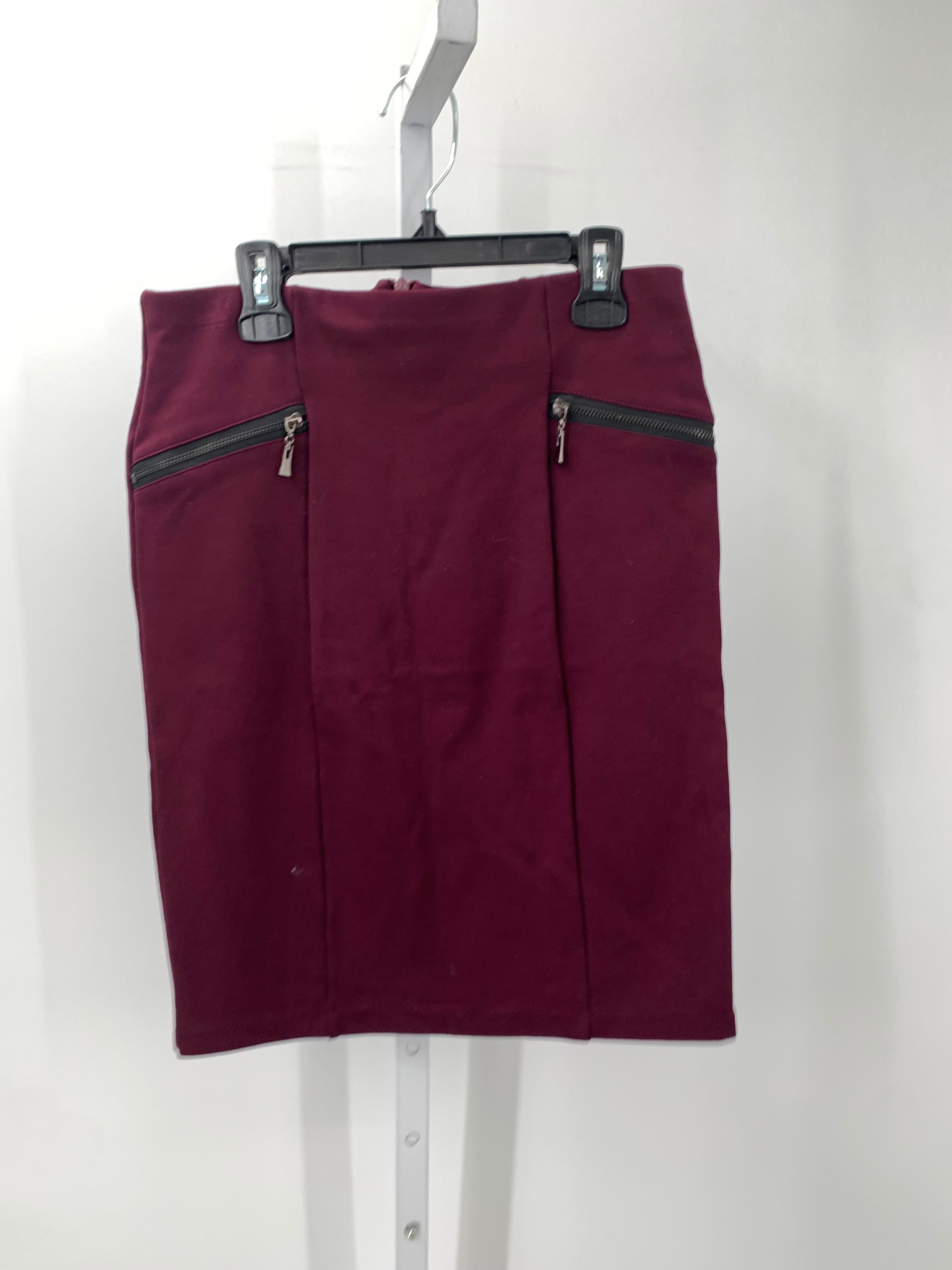 d. jeans Size 4 Misses Skirt