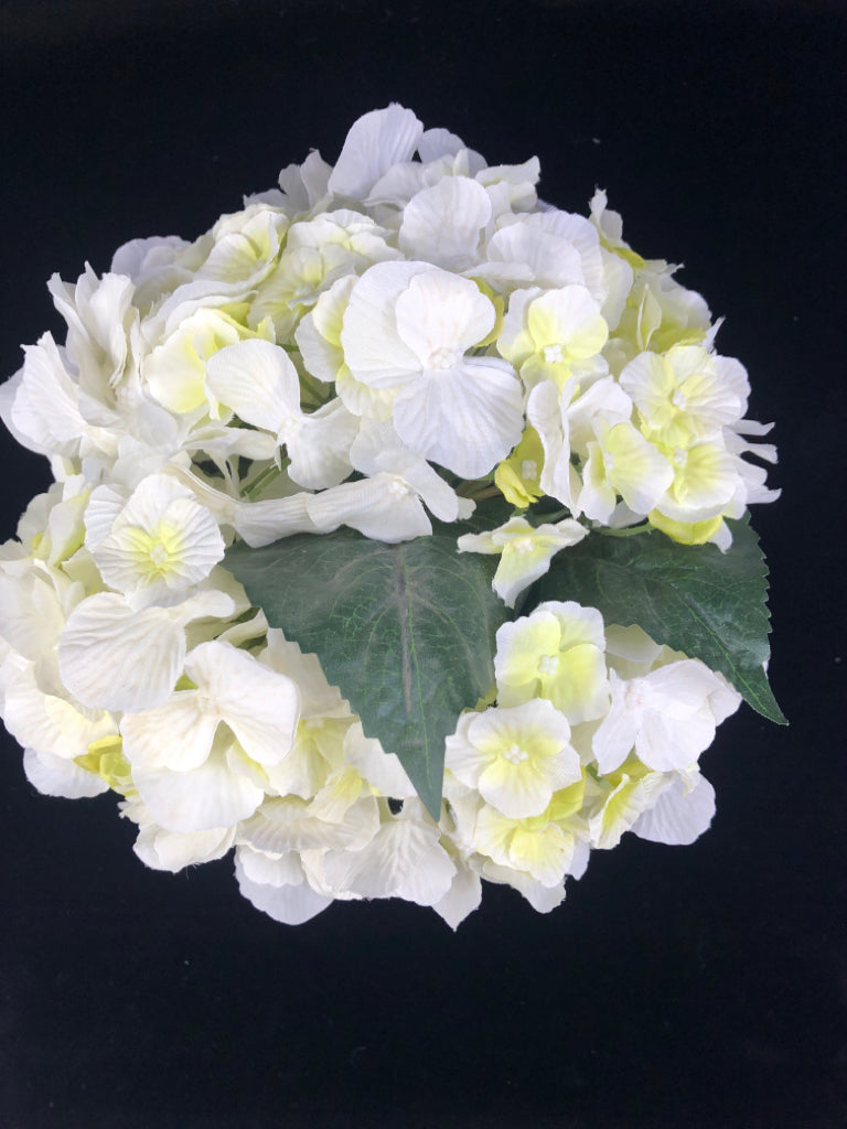 CYLINDER GLASS VASE W/WHITE HYDRANGEA FLOWERS.