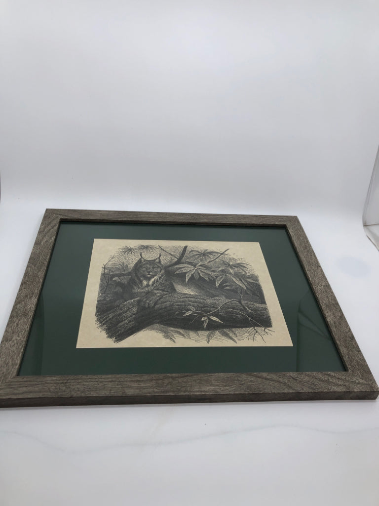 LYNX ARTIST DRAWING IN GREY FRAME.