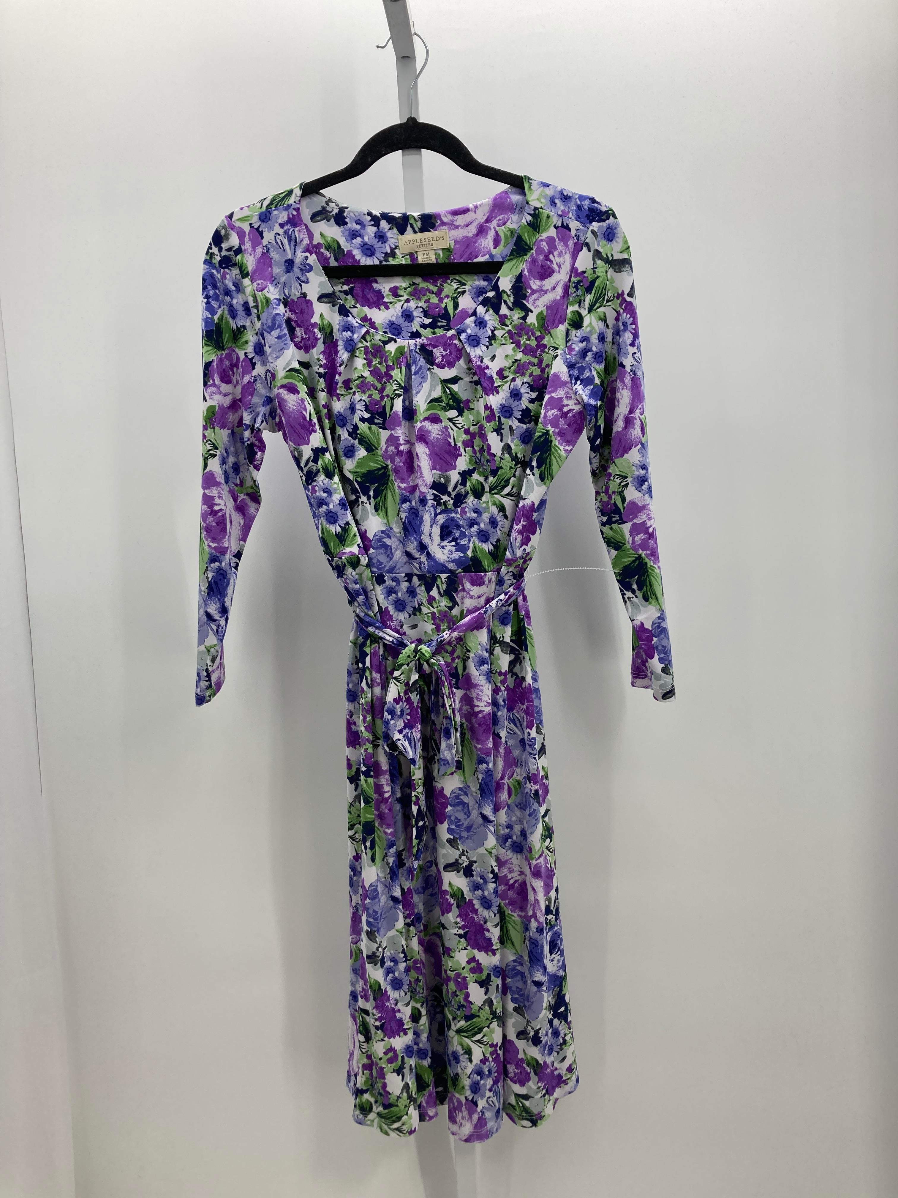 Appleseeds Size Medium Petite Petite Long Sleeve Dress