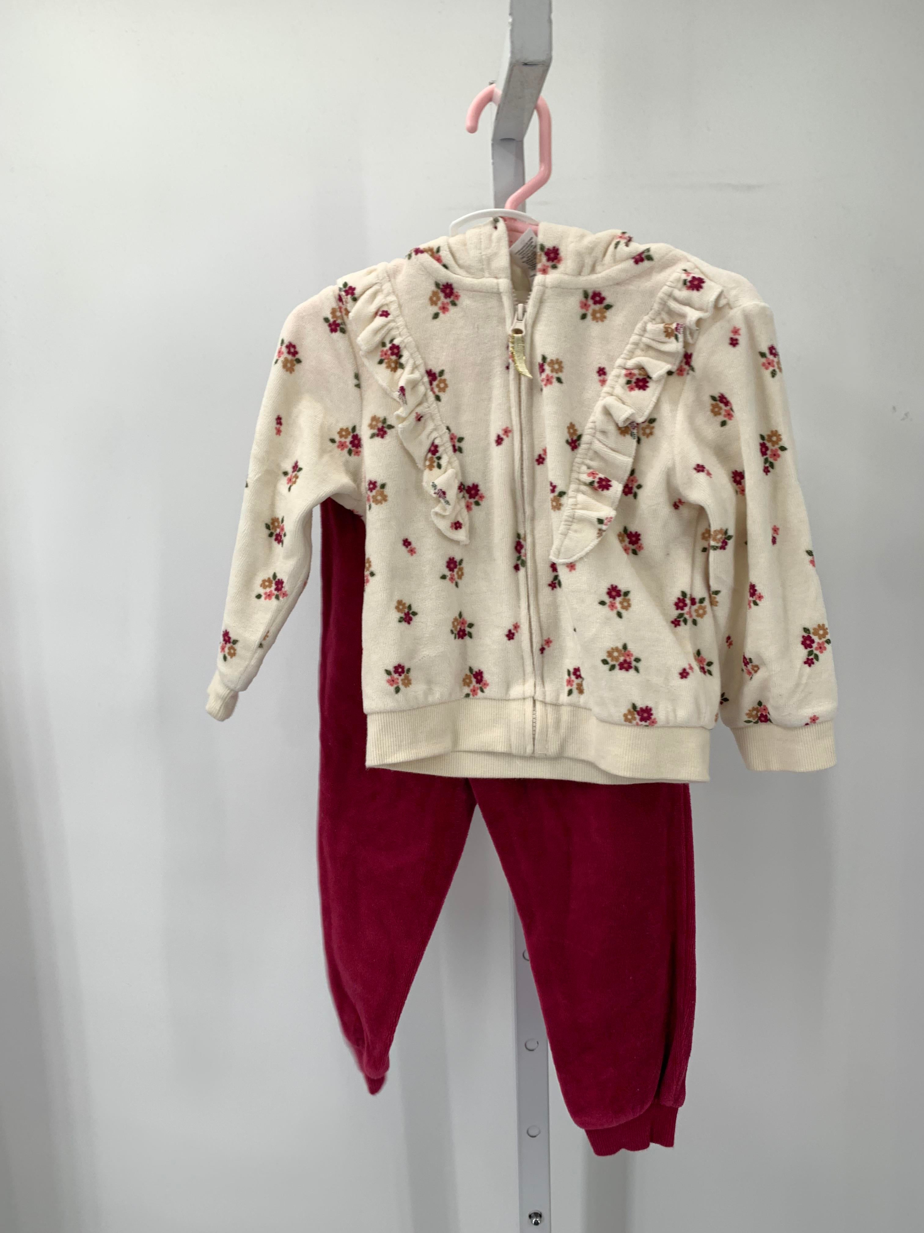Size 2T Girls 2 Pieces