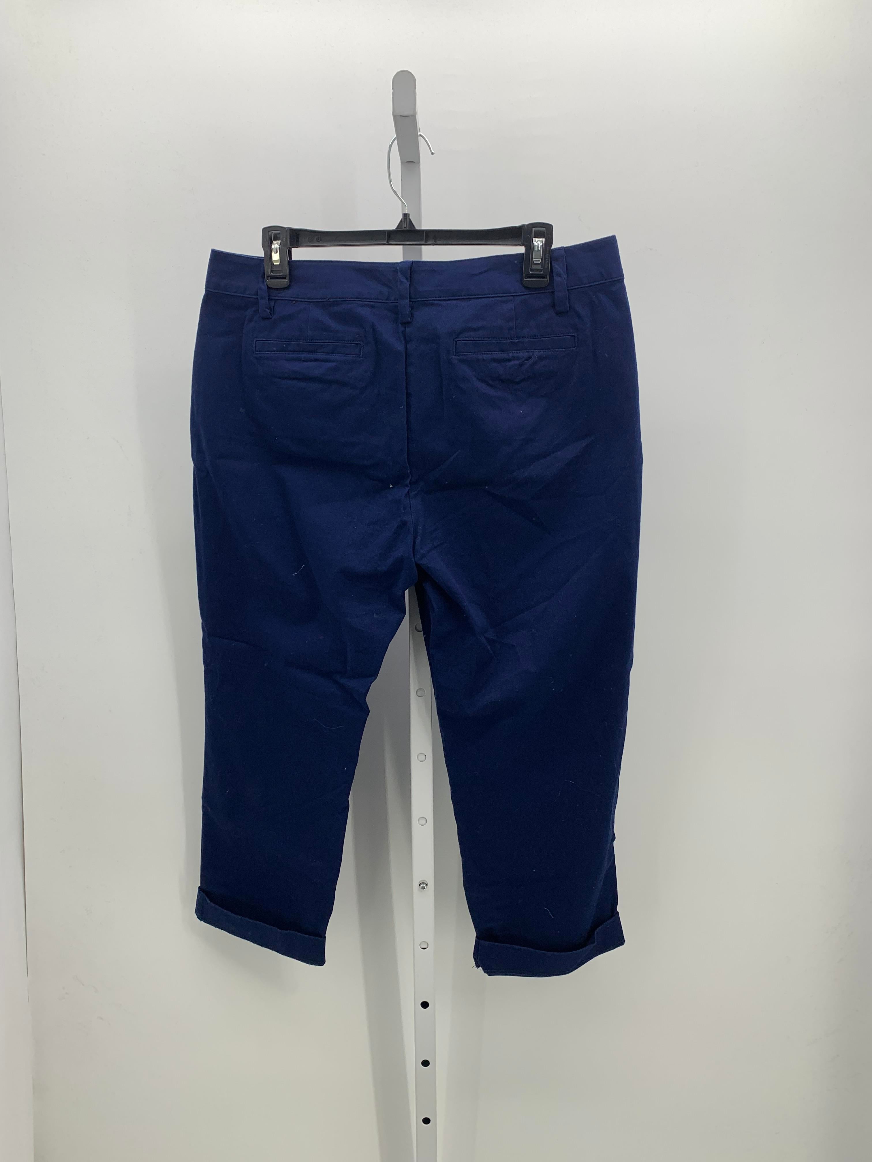 Lands End Size 12 Petite Petite Cropped Pants