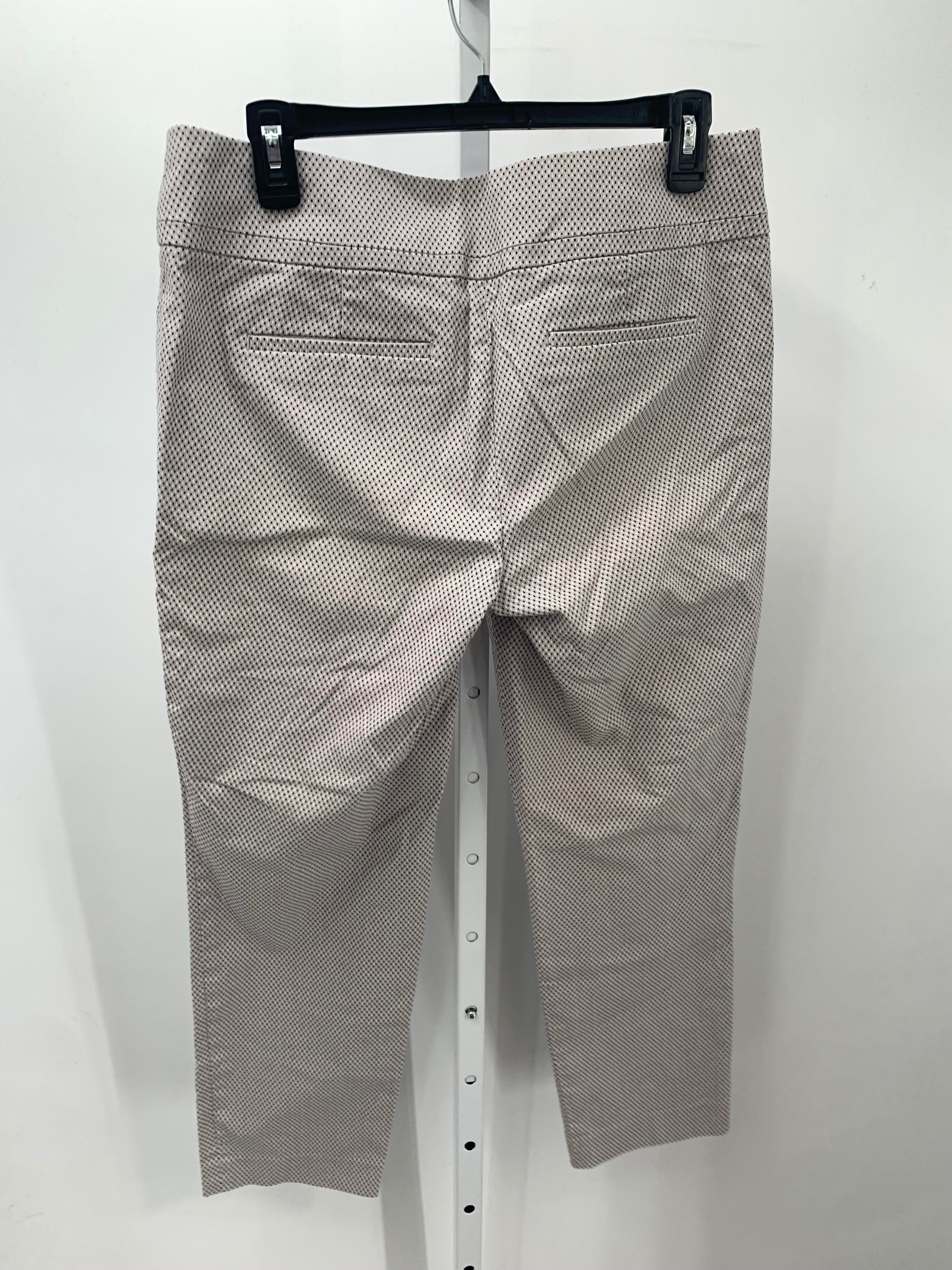 Loft Size 6 Misses Pants