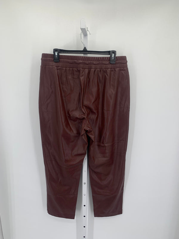 Loft Size Large Misses Pants