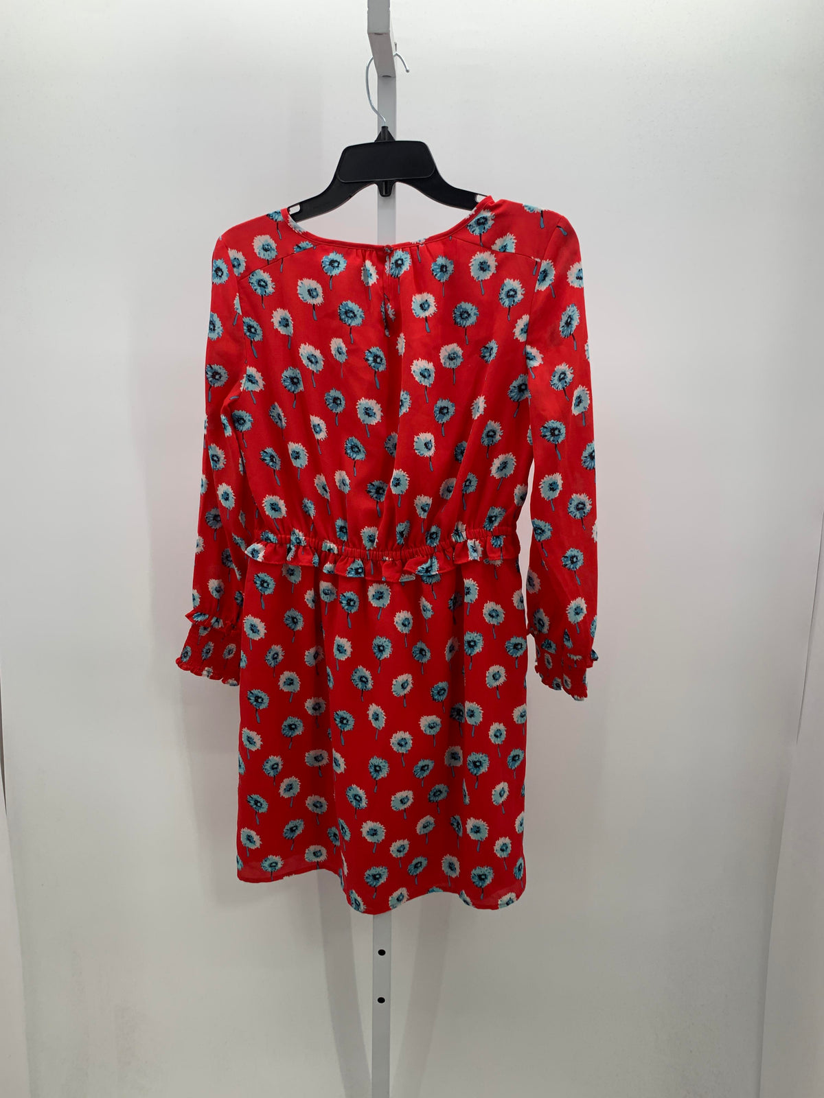 J. Crew Size 2 Misses Long Sleeve Dress