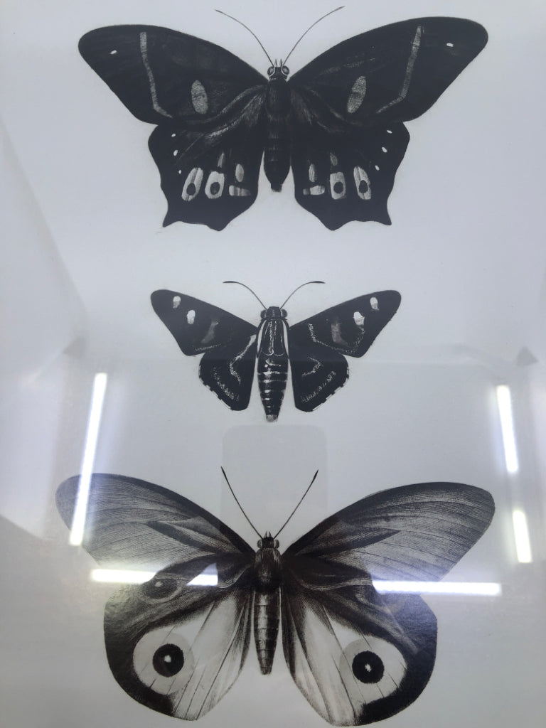 3 BUTTERFLIES IN BLACK FRAME WALL HANGING.